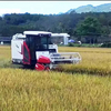 Pre&ccedil;o da m&aacute;quina colheitadeira de arroz de milho XR630 / XR730 