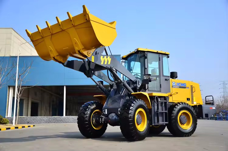 Equipo de construcci&oacute;n Cargador de ruedas peque&ntilde;o Lw300kN de 3 toneladas a la venta